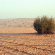 Statement of the Environment and Climate Change Working Group of the Arab Watch Coalition for Financial Justice that brings us closer to Comprehensive Climate Justice. From the Paris Agreement to Belém: 10 years of Unsatisfactory Results.