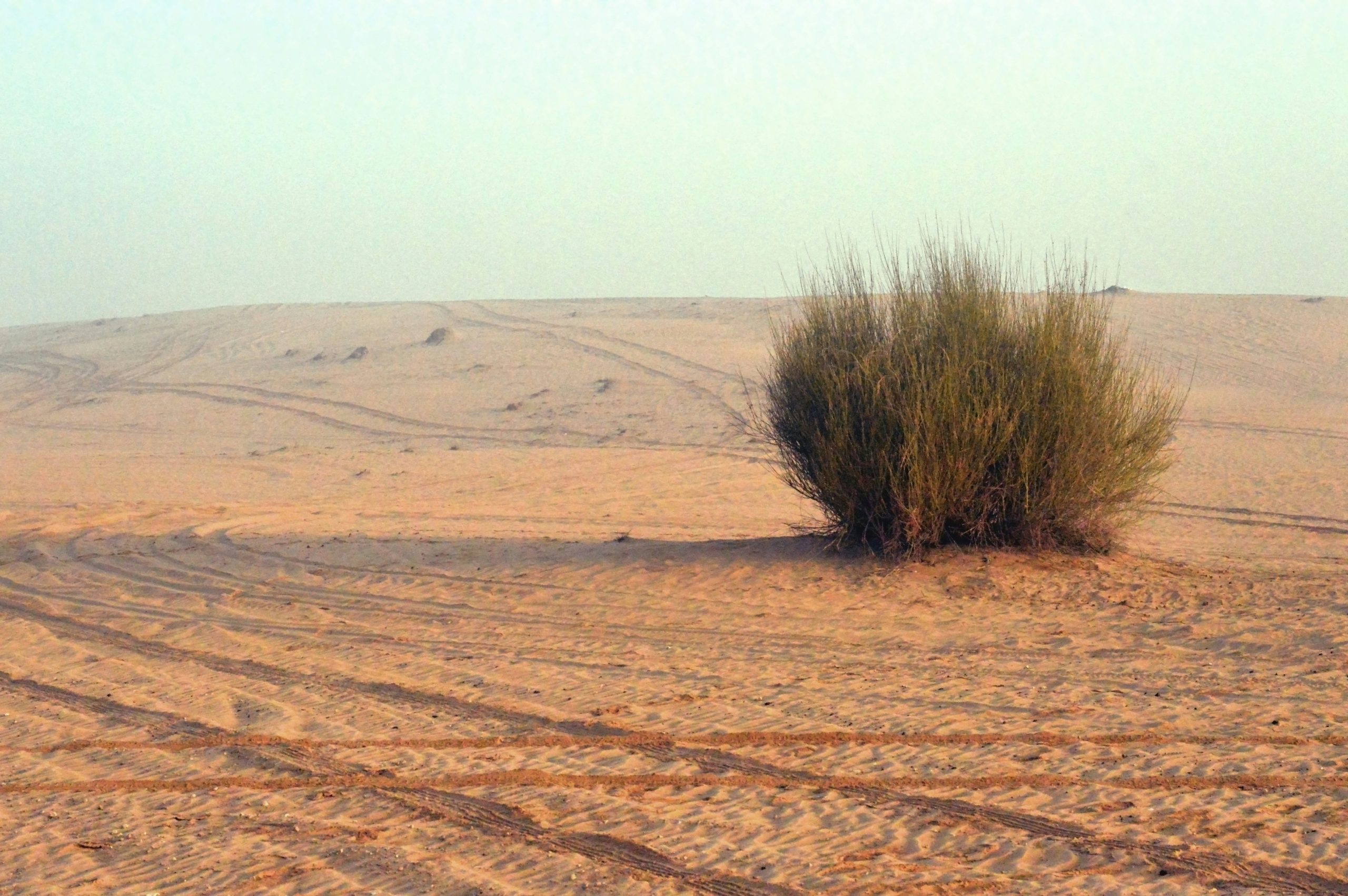 Statement of the Environment and Climate Change Working Group of the Arab Watch Coalition for Financial Justice that brings us closer to Comprehensive Climate Justice. From the Paris Agreement to Belém: 10 years of Unsatisfactory Results.