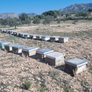 Interview: Charfeddine Yakoubi on Monitoring World Bank-Financed Agricultural Project in Tunisia